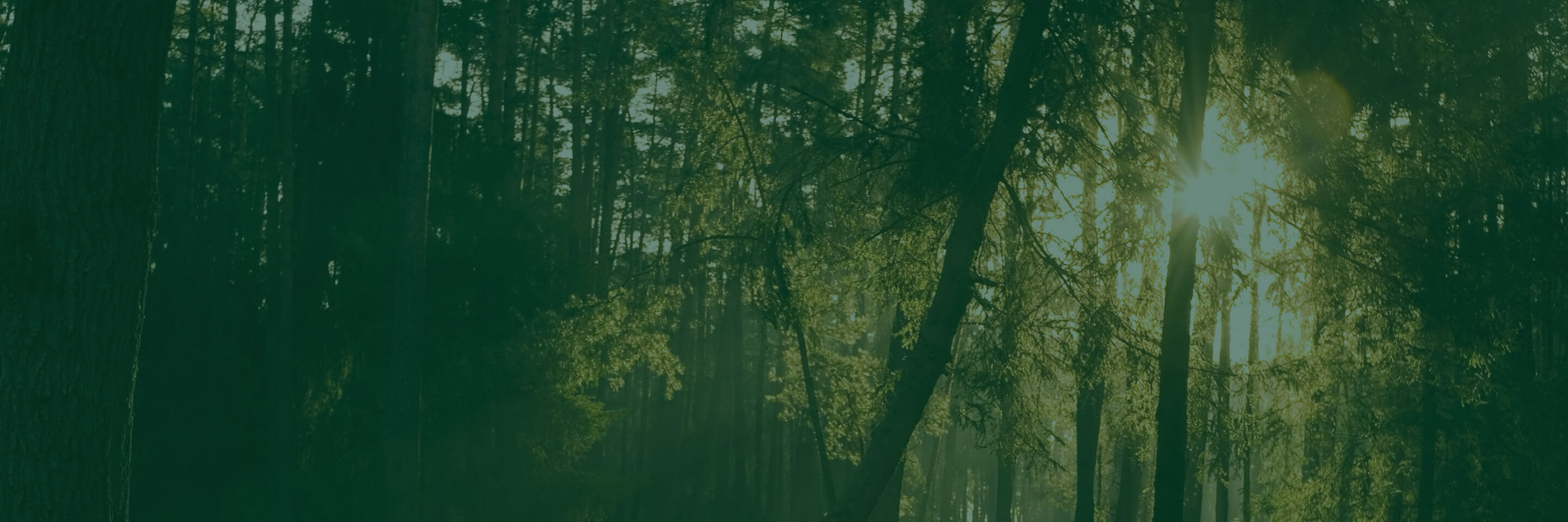 kastorf header home1