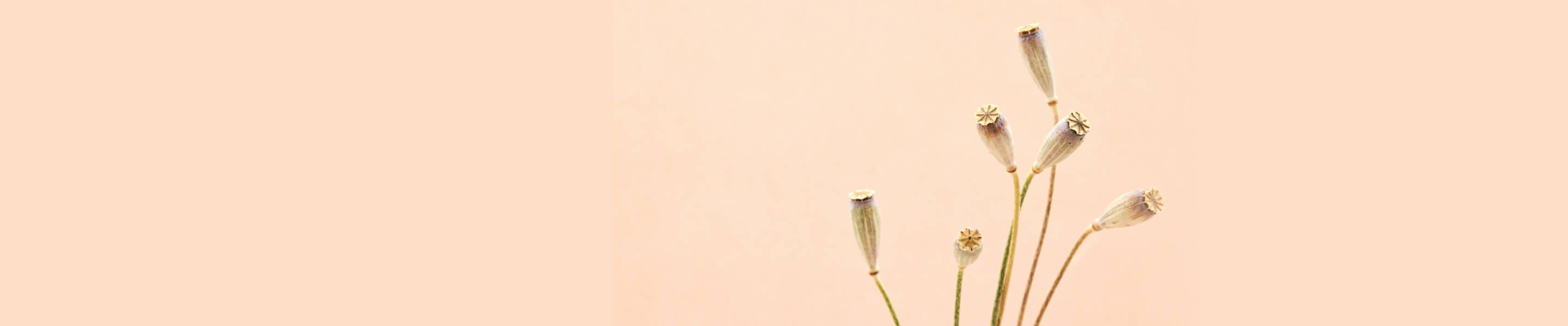 kastorf header trauerfall