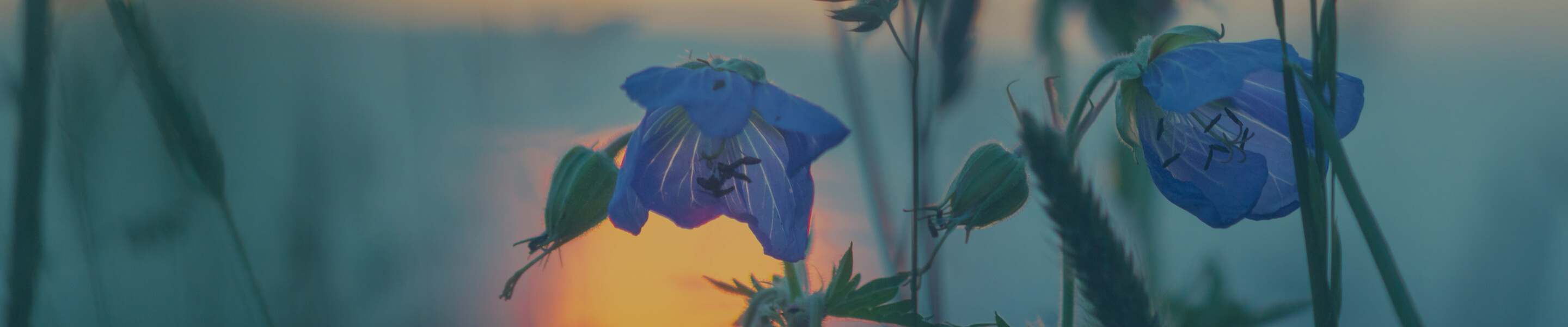 kastorf header trauerfeier