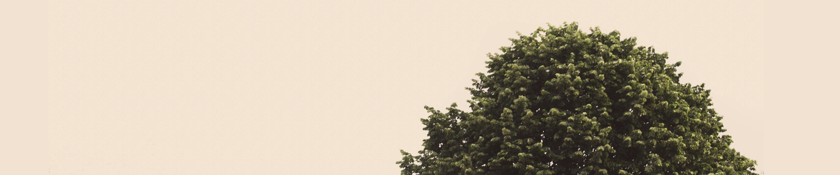 kastorf header trauerrfall2