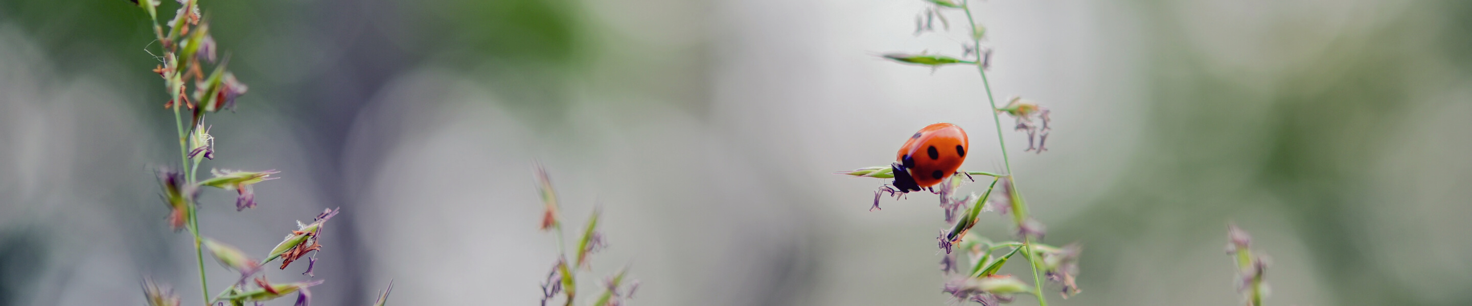 kastorf header vorsorge