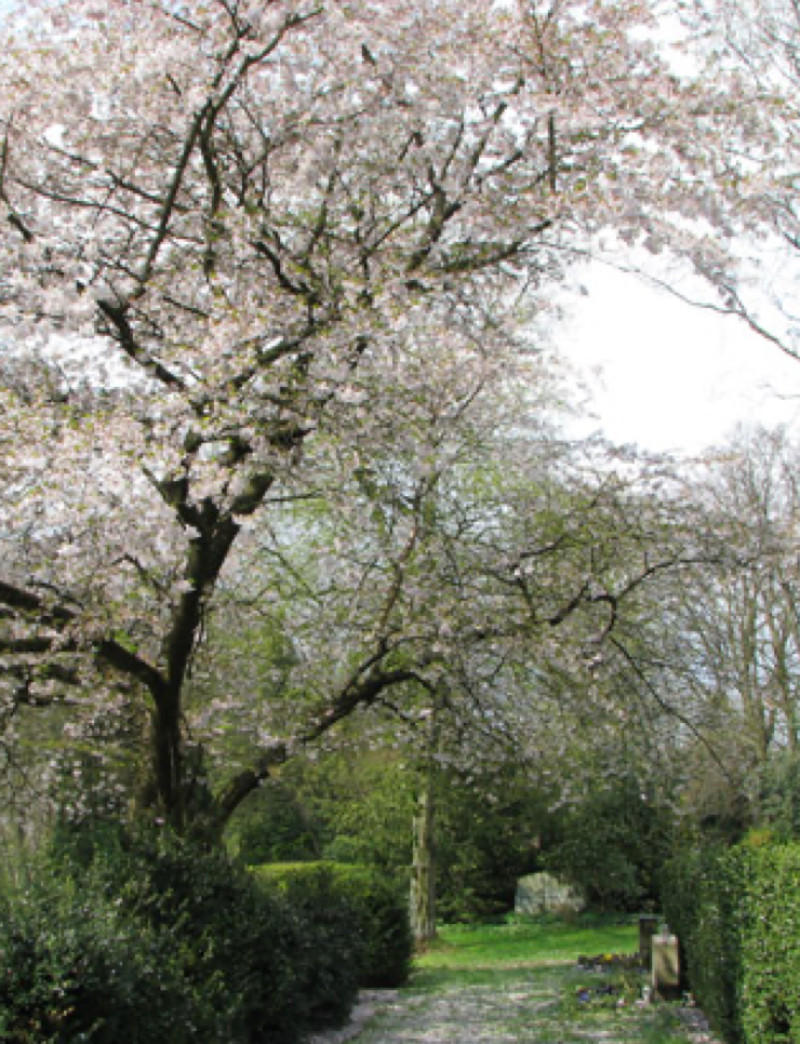 kastorf home teaser 1